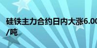 硅铁主力合约日内大涨6.00%现报7680.00元/吨