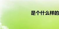是个什么样的人