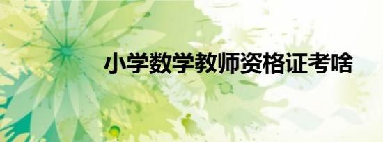 小学数学教师资格证考啥