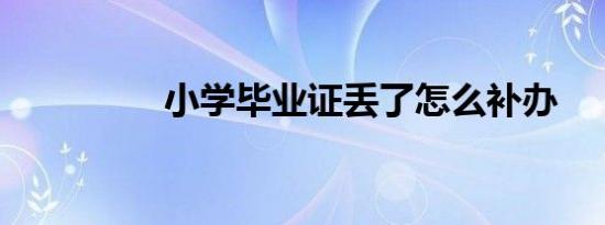 小学毕业证丢了怎么补办