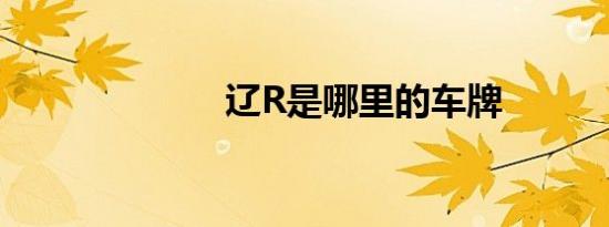 辽R是哪里的车牌