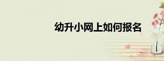 幼升小网上如何报名