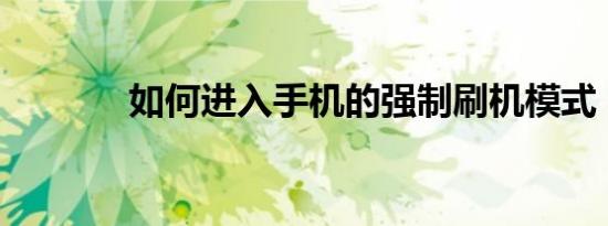 如何进入手机的强制刷机模式