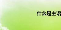 什么是主语