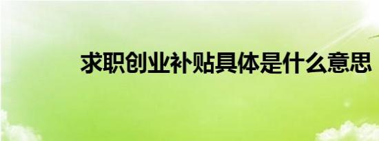求职创业补贴具体是什么意思