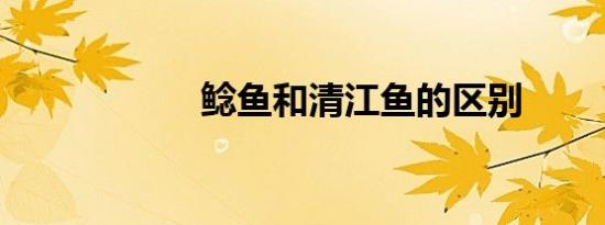 鲶鱼和清江鱼的区别