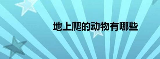 地上爬的动物有哪些