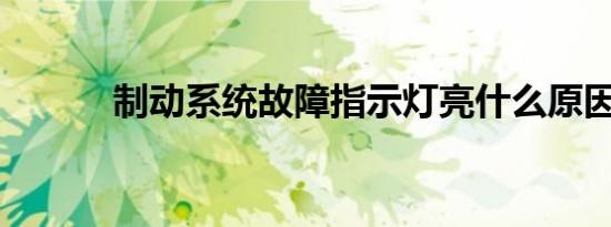 制动系统故障指示灯亮什么原因