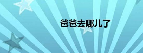 爸爸去哪儿了