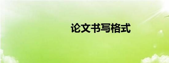 论文书写格式