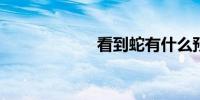 看到蛇有什么预兆