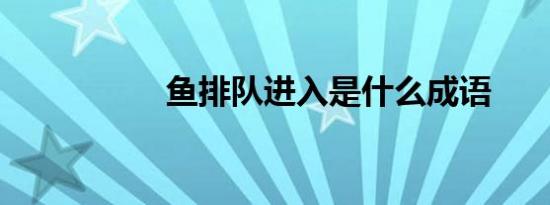 鱼排队进入是什么成语