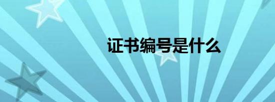 证书编号是什么