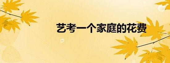 艺考一个家庭的花费