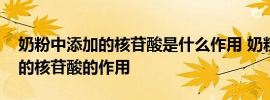 奶粉中添加的核苷酸是什么作用 奶粉中添加的核苷酸的作用