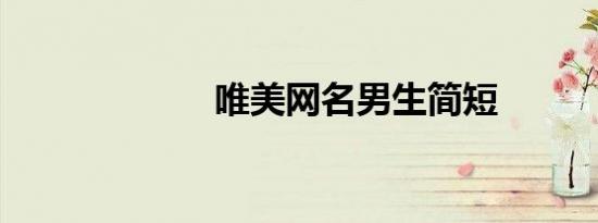 唯美网名男生简短
