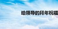 给领导的拜年祝福语大全