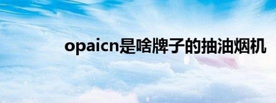 opaicn是啥牌子的抽油烟机