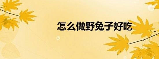 怎么做野兔子好吃