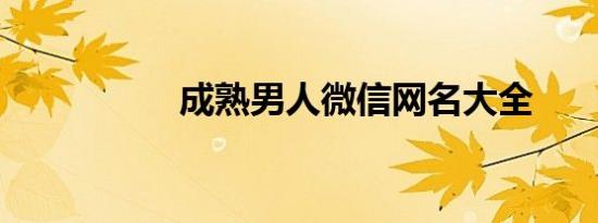 成熟男人微信网名大全