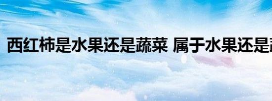 西红柿是水果还是蔬菜 属于水果还是蔬菜呢