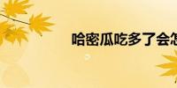 哈密瓜吃多了会怎么样