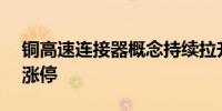 铜高速连接器概念持续拉升 神宇股份20CM涨停