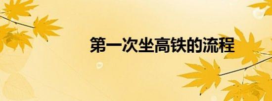 第一次坐高铁的流程