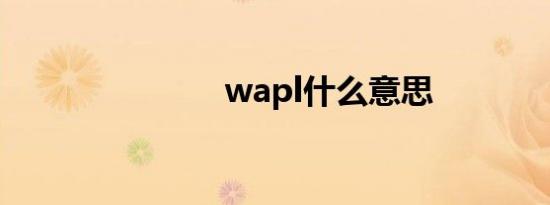 wapl什么意思