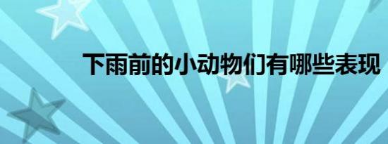 下雨前的小动物们有哪些表现