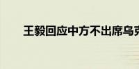 王毅回应中方不出席乌克兰和平峰会