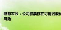 鹏都农牧：公司股票存在可能因股价低于面值被终止上市的风险
