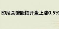 印尼关键股指开盘上涨0.5%达到7,071.09点