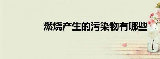 燃烧产生的污染物有哪些