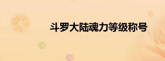 斗罗大陆魂力等级称号
