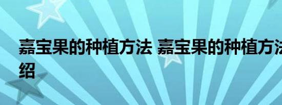 嘉宝果的种植方法 嘉宝果的种植方法简单介绍