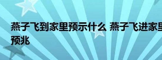 燕子飞到家里预示什么 燕子飞进家里有什么预兆