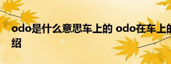 odo是什么意思车上的 odo在车上的意思介绍