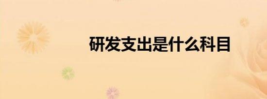 研发支出是什么科目