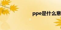 ppe是什么意思