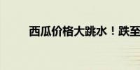 西瓜价格大跳水！跌至几毛钱一斤