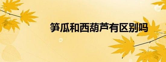 笋瓜和西葫芦有区别吗