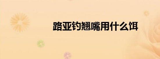 路亚钓翘嘴用什么饵
