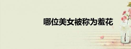 哪位美女被称为羞花