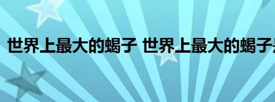 世界上最大的蝎子 世界上最大的蝎子是什么