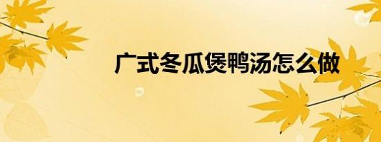 广式冬瓜煲鸭汤怎么做