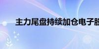 主力尾盘持续加仓电子股 抛售汽车股