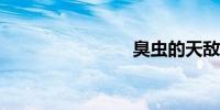 臭虫的天敌
