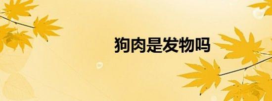 狗肉是发物吗