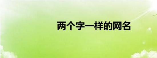 两个字一样的网名